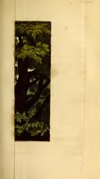 An illustration from The world in miniature; (1821)