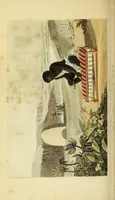Picture 6 of 8 from The world in miniature; (1821), leaf 340
