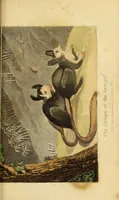 An illustration from The world in miniature; (1821)