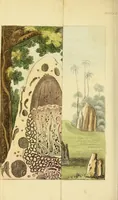 An illustration from The world in miniature; (1821)