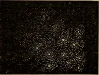 An illustration from World-life; or, Comparative geology (1883)