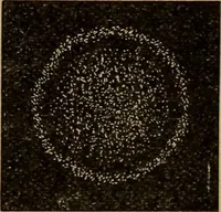 An illustration from World-life; or, Comparative geology (1883)