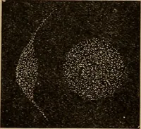 Picture 29 of 51 from World-life; or, Comparative geology (1883), leaf 149