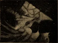 An illustration from World-life; or, Comparative geology (1883)