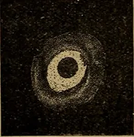 An illustration from World-life; or, Comparative geology (1883)