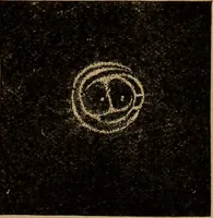 Picture 10 of 51 from World-life; or, Comparative geology (1883), leaf 76