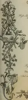 Picture 3 of 80 from The World of fashion and continental feuilletons (1824), leaf 10