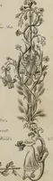An illustration from The World of fashion and continental feuilletons (1824)