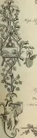 Picture 3 of 81 from The World of fashion and continental feuilletons (1824), leaf 10