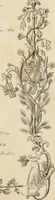 An illustration from The World of fashion and continental feuilletons (1824)