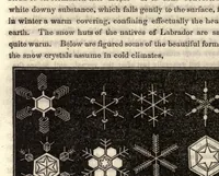 An illustration from The world: or, first lessons in astronomy and geology, in connetion with the present and past condition of our globe.. (1848)