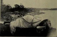 Picture 41 of 45 from The worlds and I (1918), leaf 451