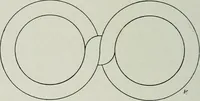 An illustration from Wormharmonie (1912)