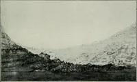 An illustration from Wormharmonie (1912)