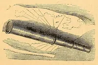 An illustration from Wreck of the "London." (1866)