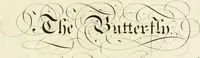 An illustration from Writing and drawing made easy, amusing and instructive : containing the whole alphabet in all the characters now us'd, both in printing and penmanship : each illustrated by emblematic devices and moral copies : calculated for the user of schools and curiously engraved by the best hands ... (1750)
