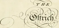 Picture 34 of 48 from Writing and drawing made easy, amusing and instructive : containing the whole alphabet in all the characters now us'd, both in printing and penmanship : each illustrated by emblematic devices and moral copies : calculated for the user of schools and curiously engraved by the best hands ... (1750), leaf 68