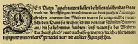 An illustration from Wunderbarliche, doch warhafftige Erklärung, von der Gelegenheit vnd Sitten der Wilden in Virginia, welche newlich von den Engelländern, so im Jar 1585. : vom Herrn Reichard Greinuile, einem von der Ritterschafft, in gemeldte Landschafft die zu bewohnen geführt waren, ist erfunden worden, in Verlegung H. Walter Raleigh, Ritter vnd Obersten dess Zinbergwercks, auss vergünstigung der Durchleuchtigsten vnnd Vnvberwindlichsten, Elizabeth, Königin in Engelland, &c. (1590)