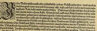 An illustration from Wunderbarliche, doch warhafftige Erklärung, von der Gelegenheit vnd Sitten der Wilden in Virginia, welche newlich von den Engelländern, so im Jar 1585. : vom Herrn Reichard Greinuile, einem von der Ritterschafft, in gemeldte Landschafft die zu bewohnen geführt waren, ist erfunden worden, in Verlegung H. Walter Raleigh, Ritter vnd Obersten dess Zinbergwercks, auss vergünstigung der Durchleuchtigsten vnnd Vnvberwindlichsten, Elizabeth, Königin in Engelland, &c. (1590)