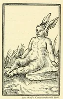 Picture 13 of 18 from Wunder, Wundergeburt und Wundergestalt in Einblattdrucken des fünfzehnten bis achtzehnten Jahrhunderts; kulturhistorische Studie (1921), leaf 292