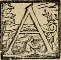 An illustration from XII. primorvm Caesarvm et LXIIII ipsorvm vxorvm et parentum ex antiquis numismatibus, in aere incisae, effigies : atque eorundem earundemque vitae & res gestae, ex varijs authoribus collectae per Levinvm Hvlsivm .. (1597)