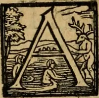 An illustration from XII. primorvm Caesarvm et LXIIII ipsorvm vxorvm et parentum ex antiquis numismatibus, in aere incisae, effigies : atque eorundem earundemque vitae & res gestae, ex varijs authoribus collectae per Levinvm Hvlsivm .. (1597)