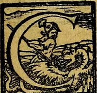 An illustration from XII primorvm Caesarvm et LXIIII. Ipsorvm vxorvm et parentum ex antiquis numismatibus, in aere incisae, effigies: atque eorundem earundemque vitae & res gestae, ex varijs authoribus (1597)