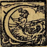 An illustration from XII primorvm Caesarvm et LXIIII. Ipsorvm vxorvm et parentum ex antiquis numismatibus, in aere incisae, effigies: atque eorundem earundemque vitae & res gestae, ex varijs authoribus (1597)