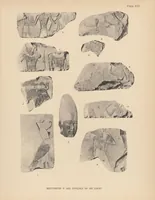 An illustration from The XIth dynasty temple at Deir el-Bahari (1907)