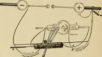 An illustration from X-ray apparatus, miniature lamps and accessories (1902)
