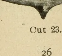Picture 21 of 21 from X-ray apparatus, miniature lamps and accessories (1902), leaf 31