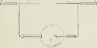 An illustration from X-rays, how to produce and interpret them (1915)