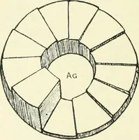 An illustration from X rays, an introduction to the study of Röntgen rays (1914)