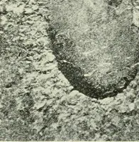 An illustration from X rays, an introduction to the study of Röntgen rays (1914)