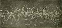 An illustration from X rays, an introduction to the study of Röntgen rays (1914)