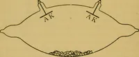 An illustration from X-rays simply explained : a handbook on the theory and practice of radiography (1903)