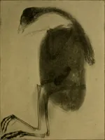 An illustration from X-rays simply explained : a handbook on Röntgen rays in theory and practice (1904)