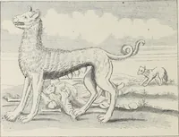 Picture 226 of 310 from XVIIme [i.e. dix-septième] siècle : lettres, sciences et arts, France, 1590-1700 (1882), leaf 517