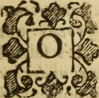 Picture 19 of 61 from XXXI select sermons, preached on special occasions .. (1656), leaf 200