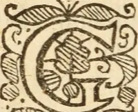 Picture 20 of 61 from XXXI select sermons, preached on special occasions .. (1656), leaf 219