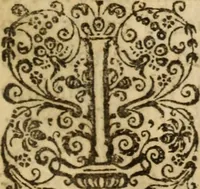 Picture 23 of 61 from XXXI select sermons, preached on special occasions .. (1656), leaf 264
