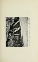An illustration from Yakusu, the very heart of Africa : being some account of the Protestant mission at Stanley Falls, Upper Congo (1911)