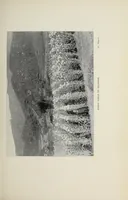An illustration from The Yangtze valley and beyond : an account of journeys in China, chiefly in the province of Sze Chuan and among the Man-tze of the Somo territory (1899)