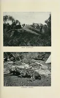 Picture 4 of 18 from A Yankee in pigmy land (1905), leaf 101