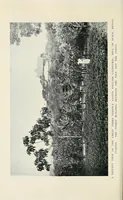 An illustration from A Yankee in pigmy land (1905)