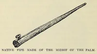 Picture 8 of 18 from A Yankee in pigmy land (1905), leaf 200