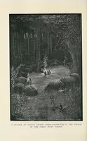 Picture 13 of 18 from A Yankee in pigmy land (1905), leaf 342