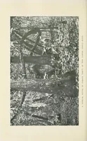 An illustration from A Yankee in pigmy land (1905)