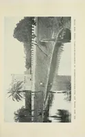 An illustration from A Yankee in pigmy land (1905)