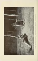 An illustration from A Yankee in pigmy land (1905)